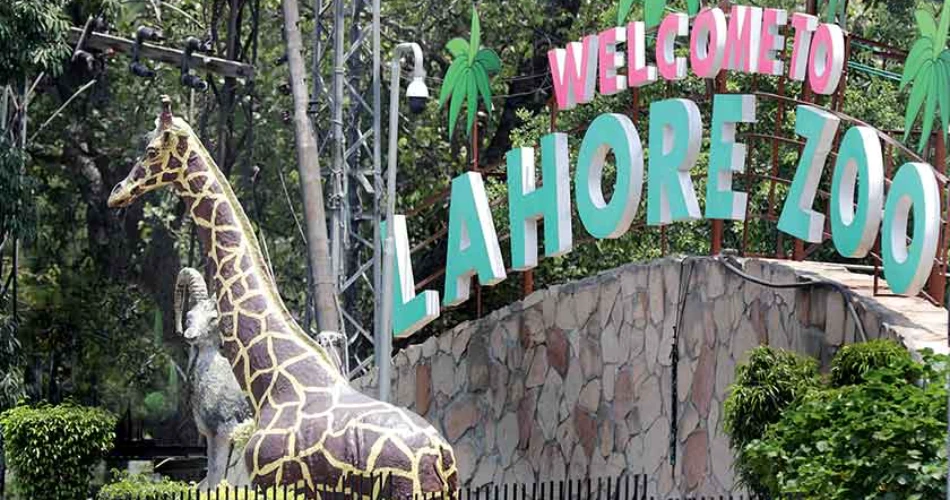 Hotel One Gulberg Lahore: Comfort, Convenience, and Class in the Heart of the City